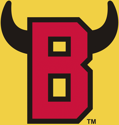 Belleville Bulls 1981-2008 secondary logo iron on transfers for clothing